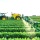 Bayer-Monsanto: extractivismo a través de la agricultura industrial